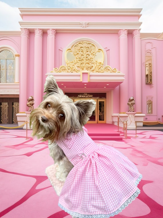 The Bride Wore A Pink Gingham Dress for Her Constellation-Inspired