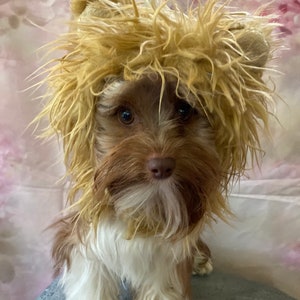 Super Plush Lined Plush Lion Hood for Dogs, Cats, and Sizes to fit any Size Dog Custom Requests Accepted.