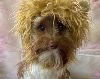 Lion Hood/hat for Dogs and Cats, Custom Costume plush king