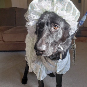 Larger breed dog granny robe/pjs/dress costume with matching floral bonnet image 2