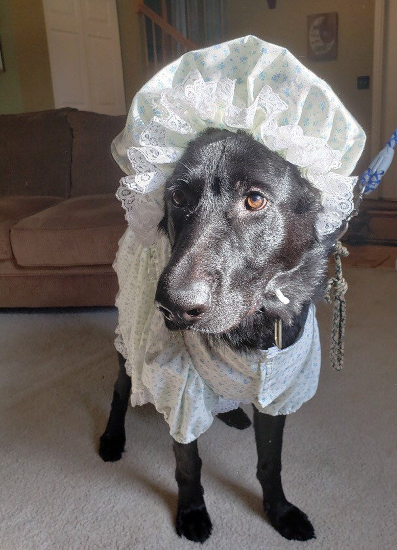 Larger breed dog granny robe/pjs/dress costume with matching Etsy