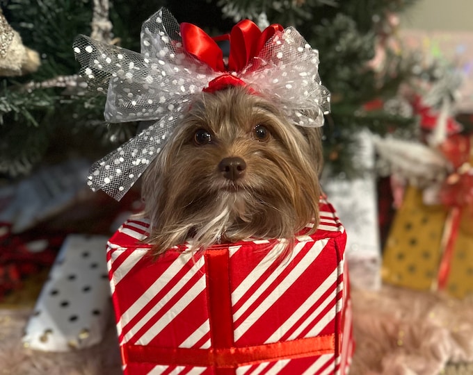 Adorable small dog /pet Christmas present candy stripe with headbow. Great prop, photo op costume!