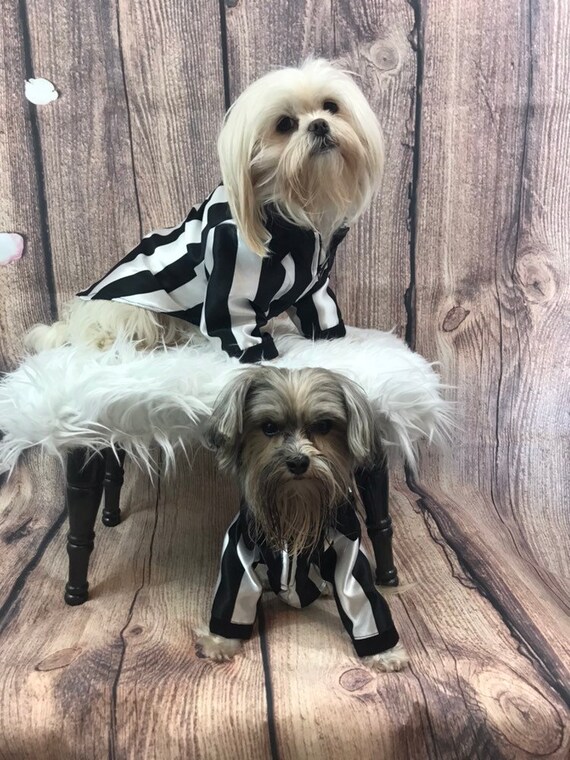 Referee Dog Shirt costume for Small Dogs Great for Sporting Events