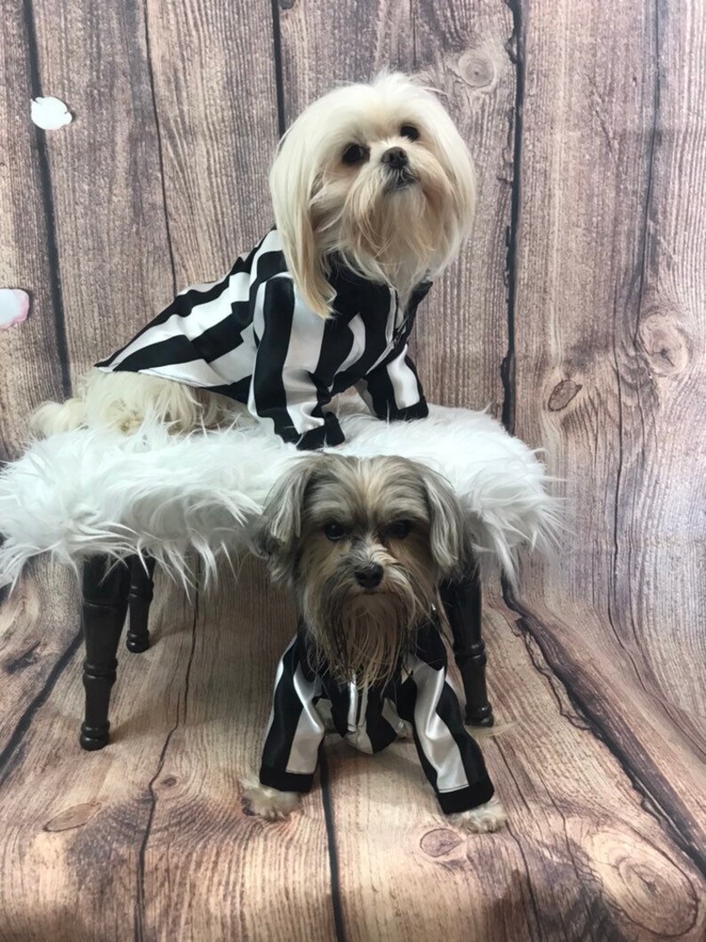Referee Dog Shirt/costume for Small Dogs Great for Sporting Etsy