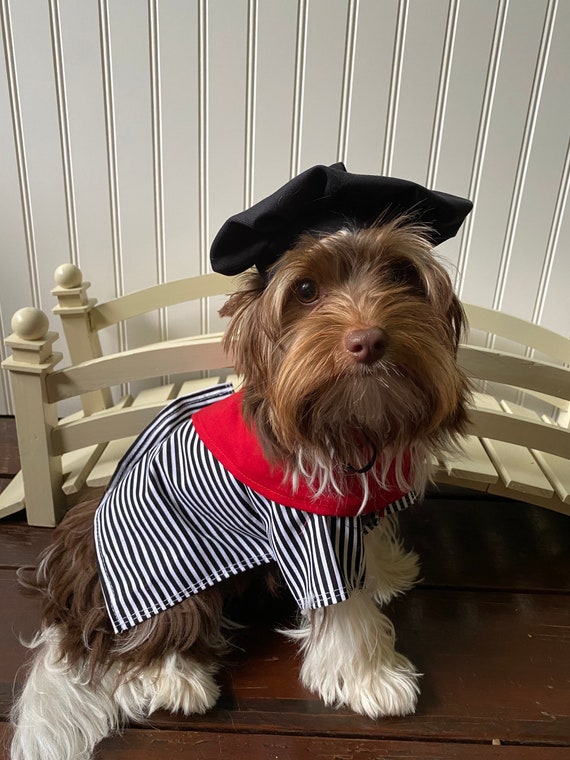 The Frenchman Cute Halloween Dog Costume Size Xxs-xlarge - Etsy