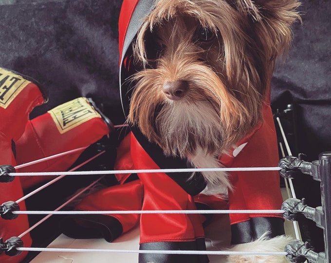 Dog costume Boxer/Boxing robe and shorts