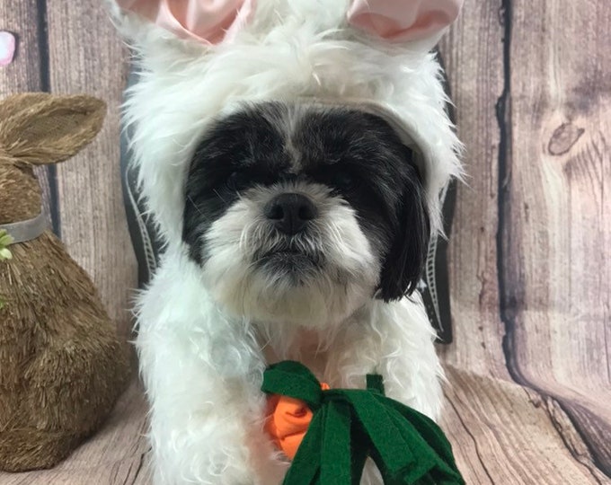 Custom Bunny costume for small breed dogs
