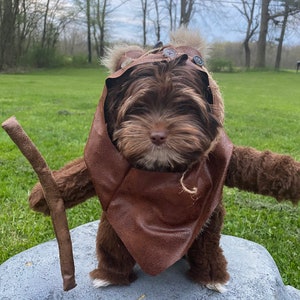 Adorable Furry Reddish Brown Woodland Dog Halloween Costume with hood image 2