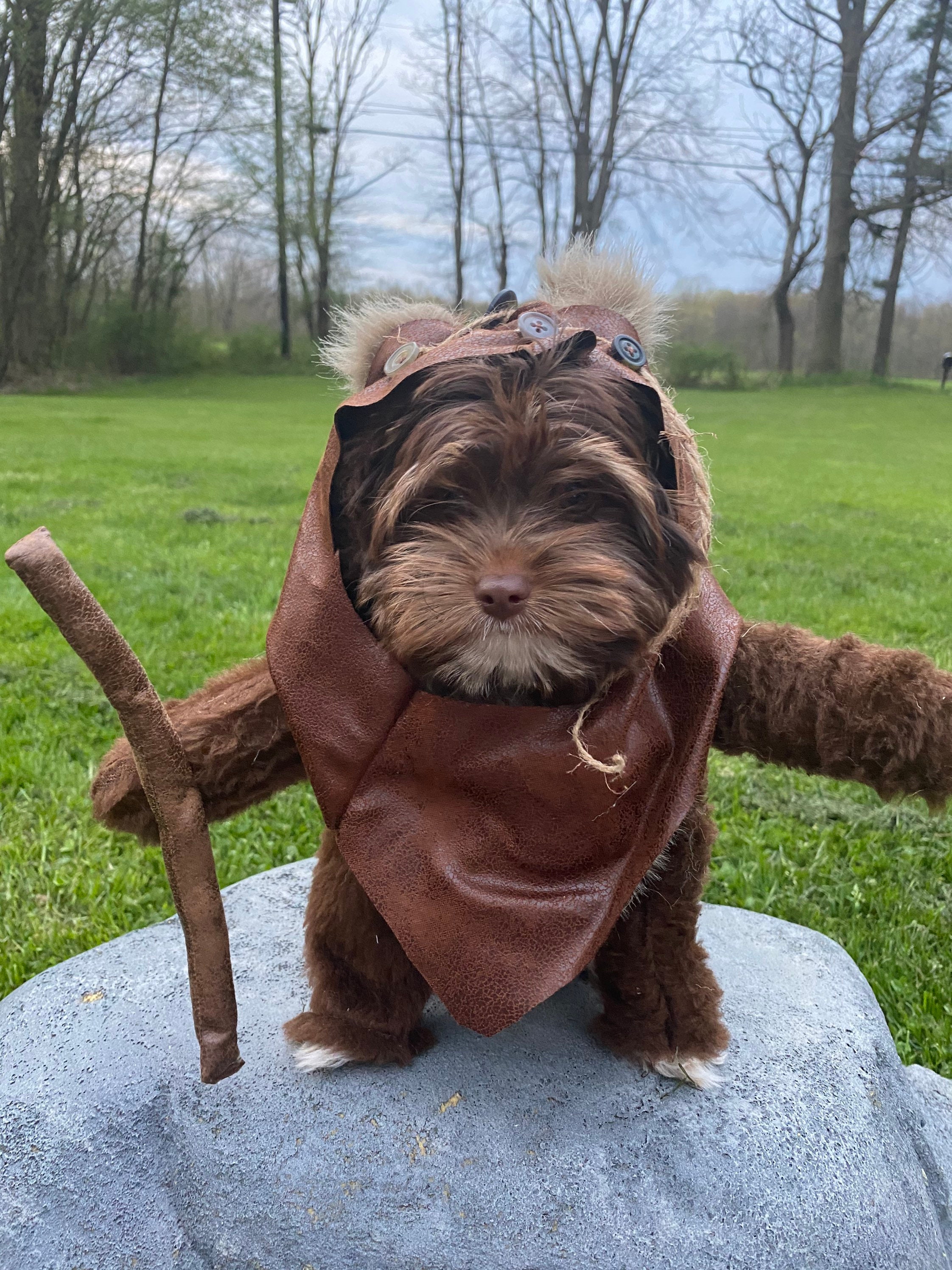 Adorable Furry Reddish Brown Woodland Dog Halloween Costume with hood