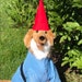 see more listings in the LG Breed Dog Costumes section
