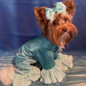 Fish Dog Costume 