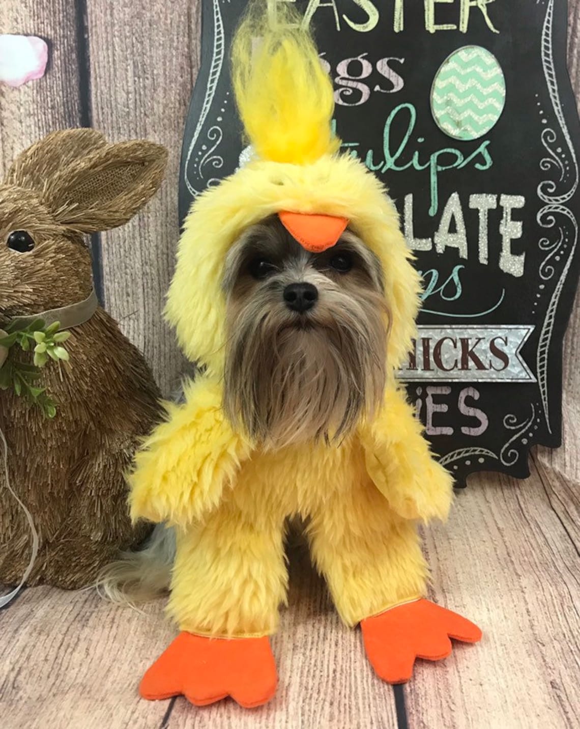 Easter chick dog costume for small breed dogs Etsy