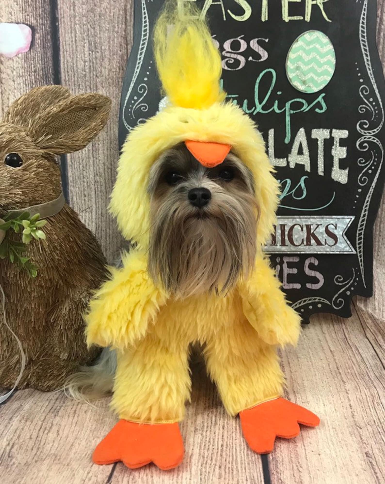 Easter chick dog costume for small breed dogs Etsy