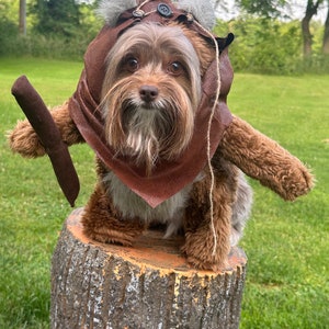 Adorable LIGHTER  Furry Reddish Brown Woodland Dog Halloween Costume with hood