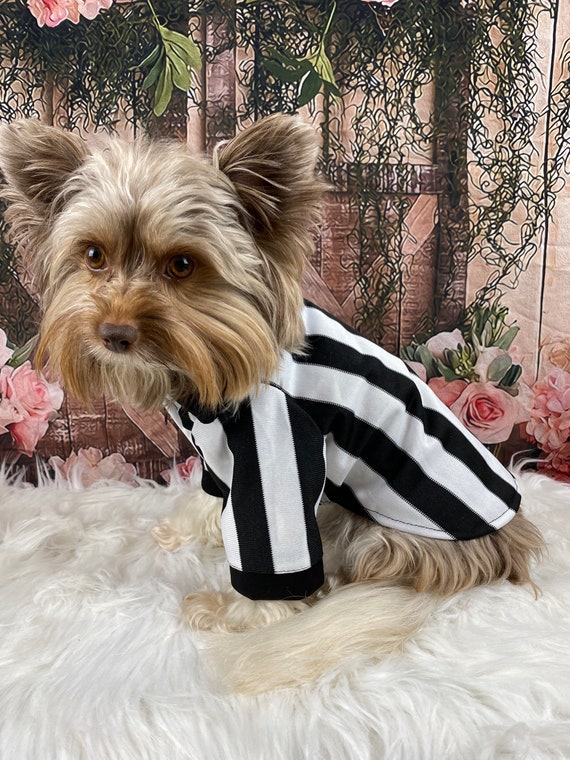 referee dog costume