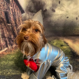 May include: A small dog wearing a metallic silver costume consisting of a long-sleeved jumpsuit and a pointed hat. A bright red plush heart accessory is attached to the chest area of the silver garment, which features a smooth, reflective finish.