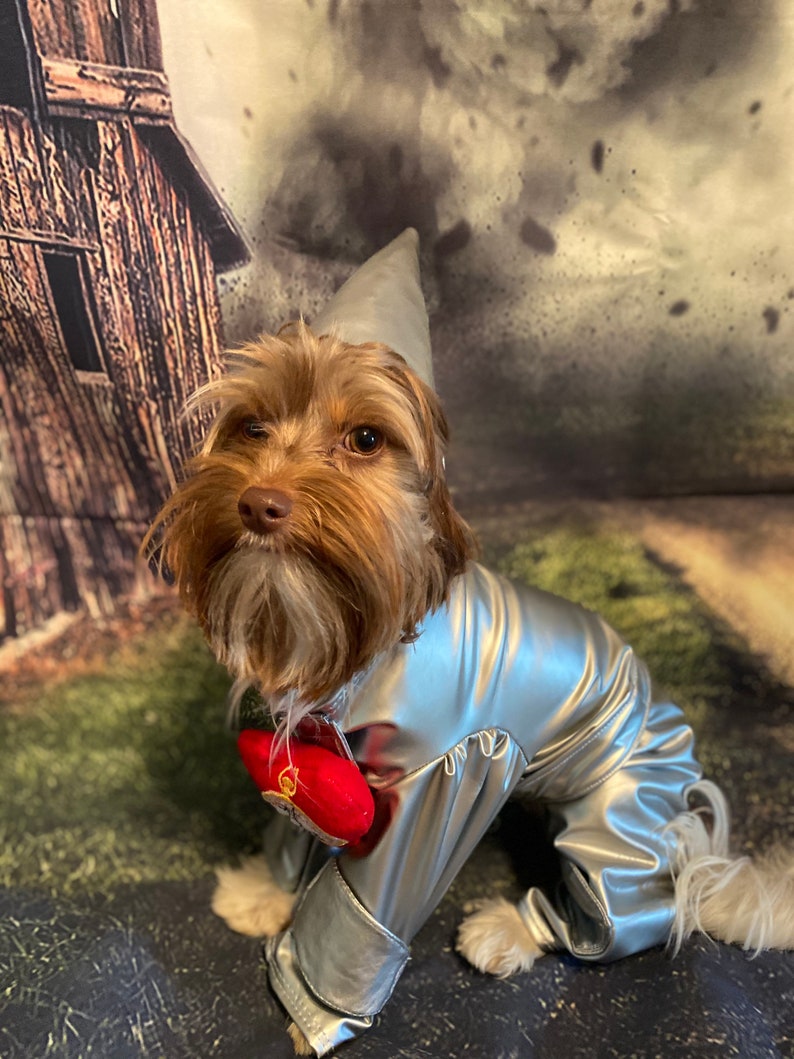 May include: A small dog wearing a metallic silver costume consisting of a long-sleeved jumpsuit and a pointed hat. A bright red plush heart accessory is attached to the chest area of the silver garment, which features a smooth, reflective finish.