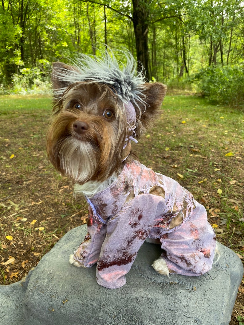 Zombie Dog Costume
 Zombie dog Halloween costume for small breed dogs