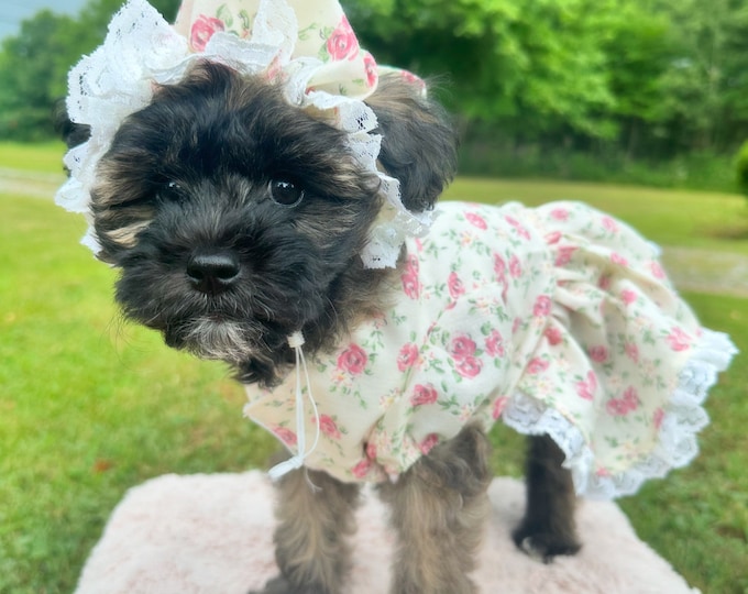 Granny dress/costume for smaller pets including bonnet!