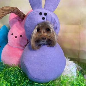 Custom Made Easter Candy dog costume for your small pet/dog up to 20 pounds image 7