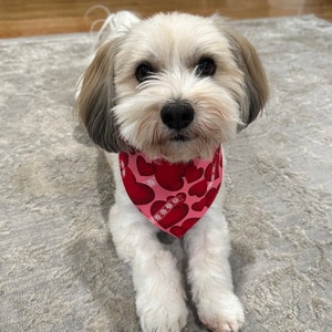 Valentine’s Day scrunchie dog bandanas with or without bow tie