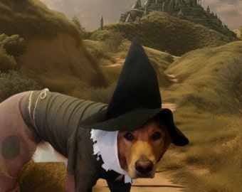 Custom made scarecrow costume for golden retriever size dogs