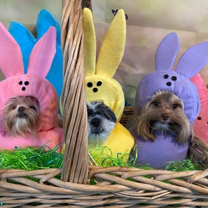 Custom Made Easter Candy dog costume for your small pet/dog up to 20 pounds image 6