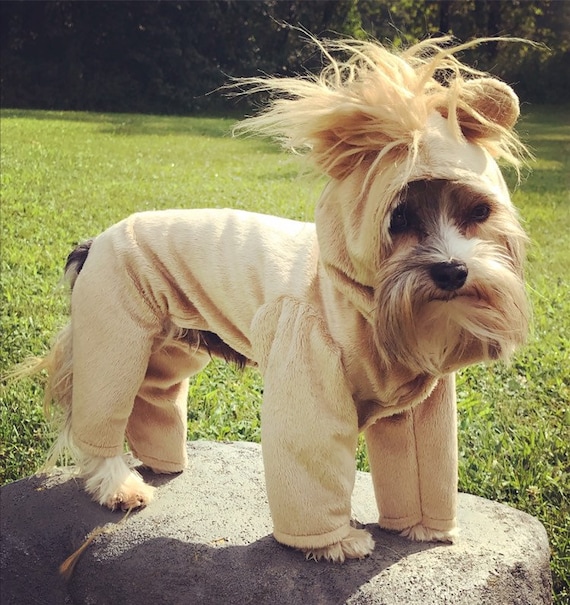 Lion Costumes For Dogs