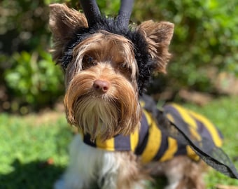 Honey bee dog costume with attached wings and separate hood