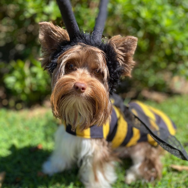 Honey bee dog costume with attached wings and separate hood