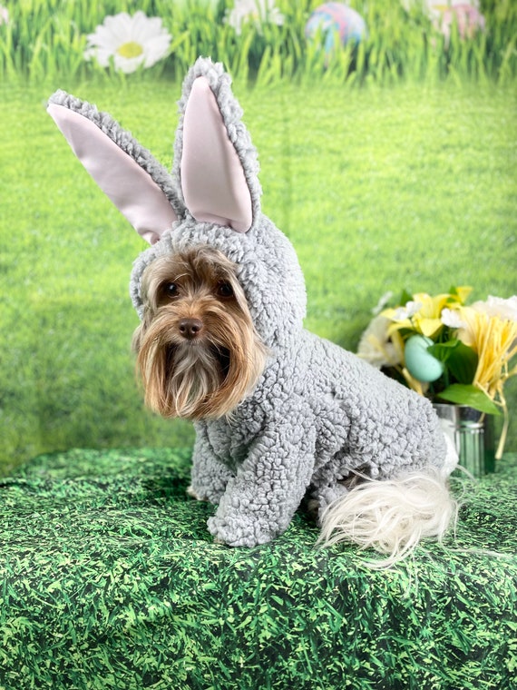Easter Bunny Dog Costume Dog Easter Bunny Dog Costume Dog