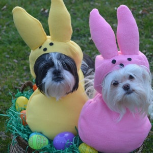 Custom Made Easter Candy dog costume for your small pet/dog up to 20 pounds image 2