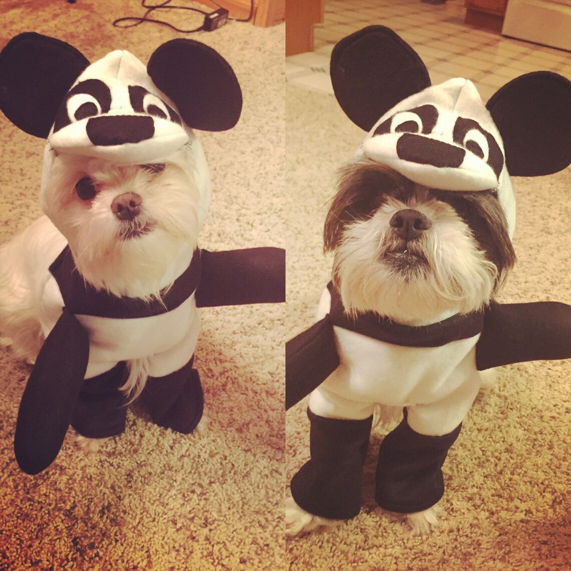 Adorable Panda Dog Costume for small breed dogs Etsy
