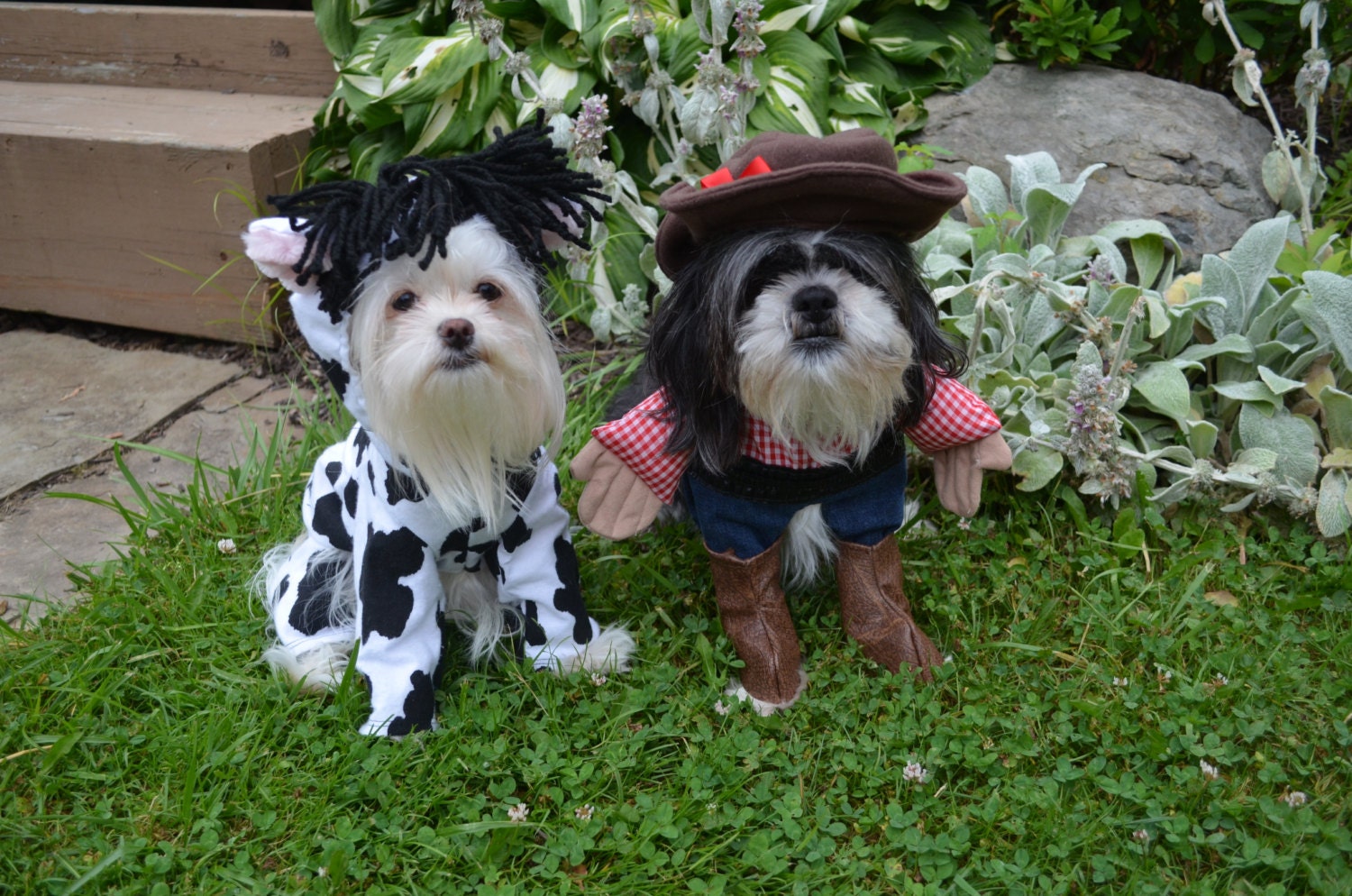 Cowgirl/Cowboy Dog Costume for Smaller Breed Dogs. Includes Etsy
