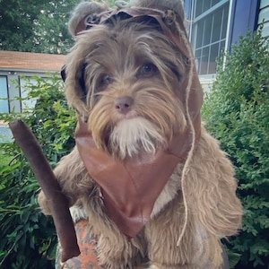 Furry Caramel woodland short pile Darker Tan Colored Dog Halloween Costume/Hood