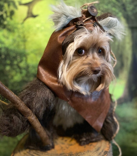 Furry Brown Woodland Dog Halloween Costume With Hood - Etsy New Zealand