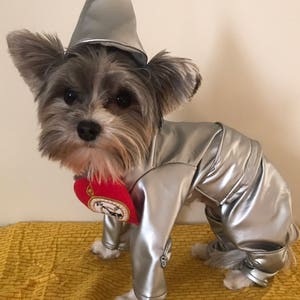 May include: A small dog wearing a metallic silver costume consisting of a long-sleeved jacket and pants, a matching pointed cone-shaped hat, and a red heart-shaped chest piece featuring a clock face graphic with black hands and numbers.