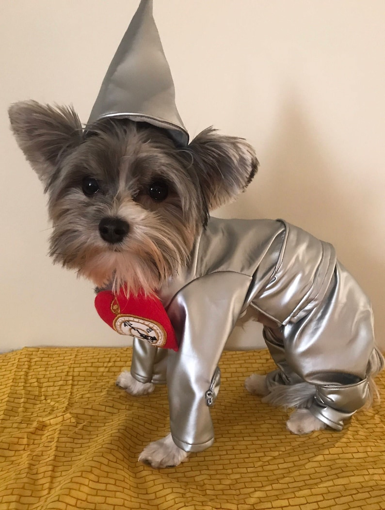 May include: A small dog wearing a metallic silver costume consisting of a long-sleeved jacket and pants, a matching pointed cone-shaped hat, and a red heart-shaped chest piece featuring a clock face graphic with black hands and numbers.