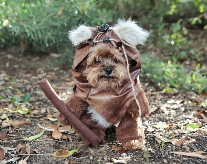 Adorable Furry Reddish Brown Woodland Dog Halloween Costume with hood