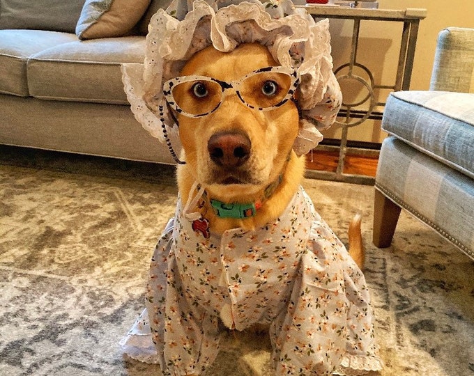 Larger breed dog granny robe/pjs/dress costume with matching floral bonnet