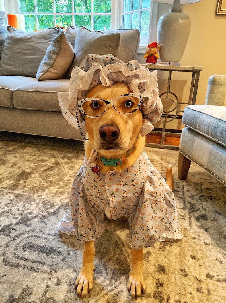 Larger breed dog granny robe/pjs/dress costume with matching floral bonnet image 1