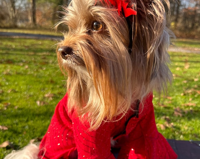 Red glitter stripe jumpsuit with ruffle sleeves (shown with headpiece or bow )