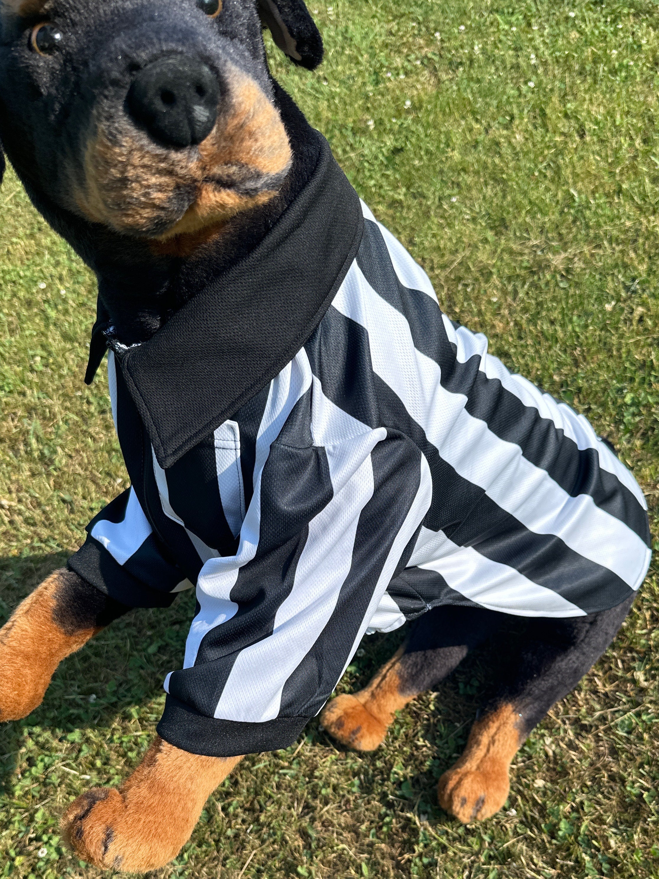 Referee Dog Shirt/costume for large breed dogs great for sporting events ,  parties, Halloween!