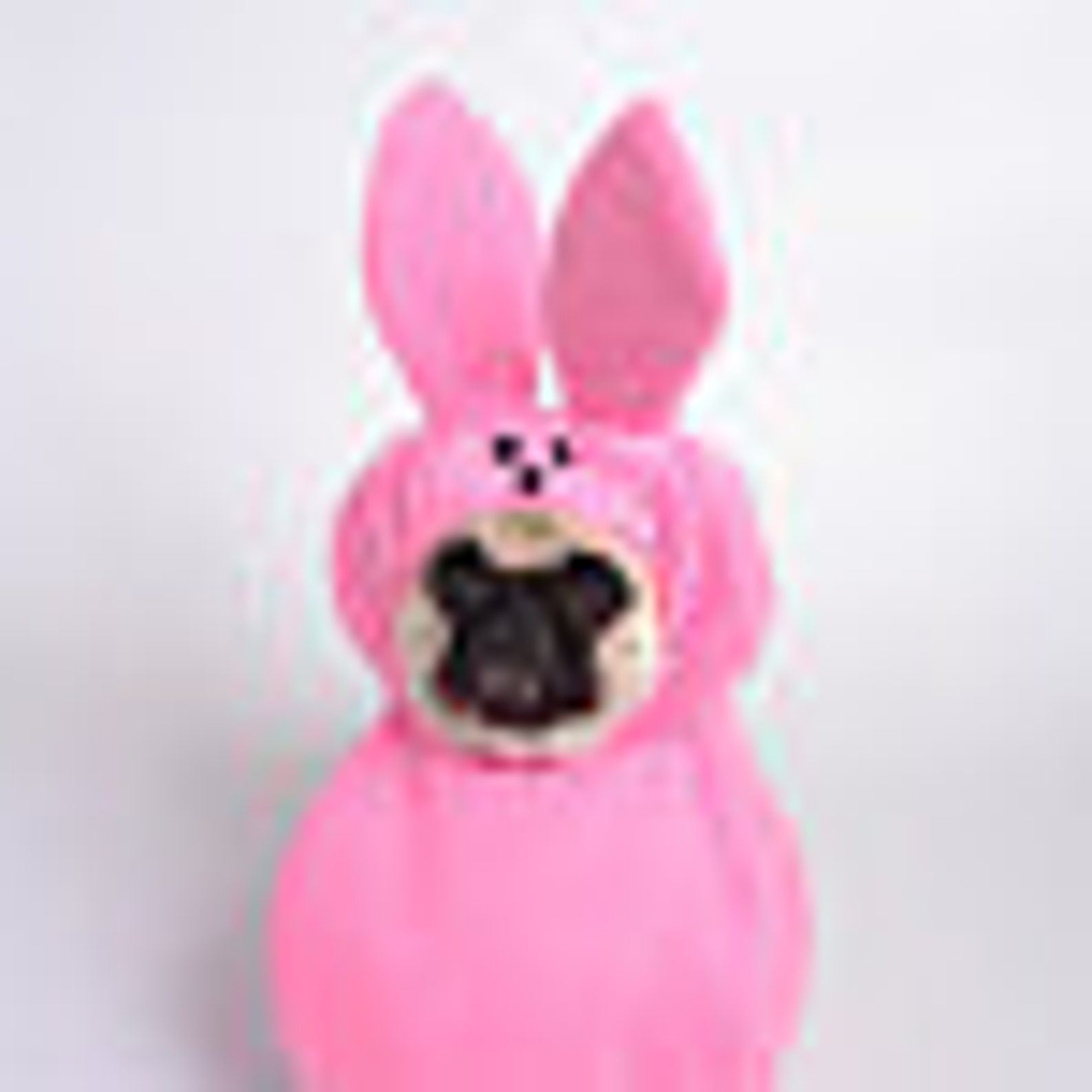 Custom Made Easter Candy Dog Costume for Your Small Pet/dog up Etsy