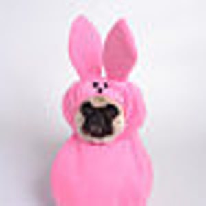 Custom Made Easter Candy dog costume for your small pet/dog up to 20 pounds image 3