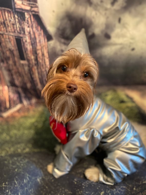 Custom made tinman/tin man costume for small dogs