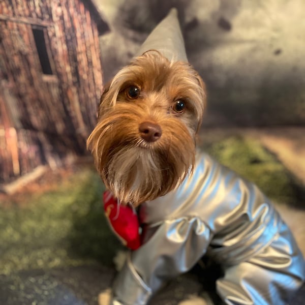 Custom made tinman costume for small dogs