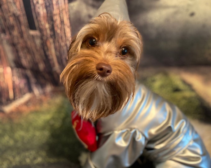 Custom made tinman costume for small dogs