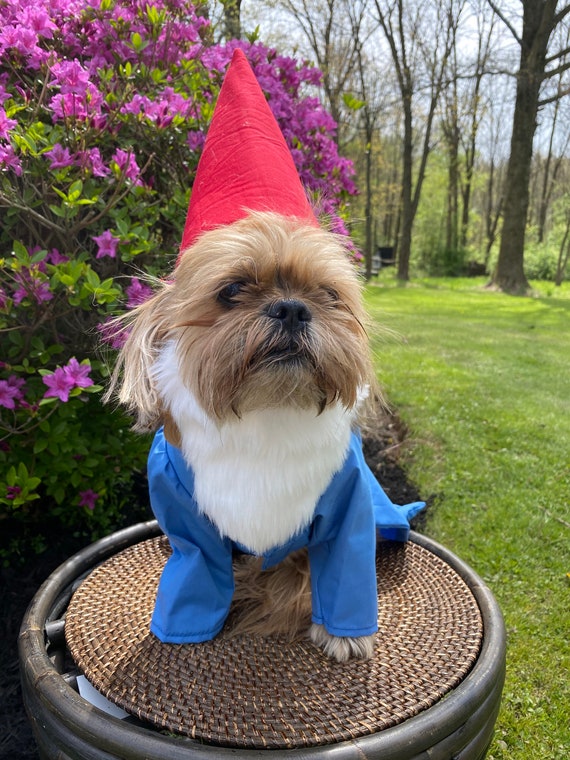 Dog tree costume hotsell