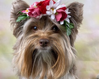 Adjustable Flower headband /crown perfect for Woofstock, summer and more!